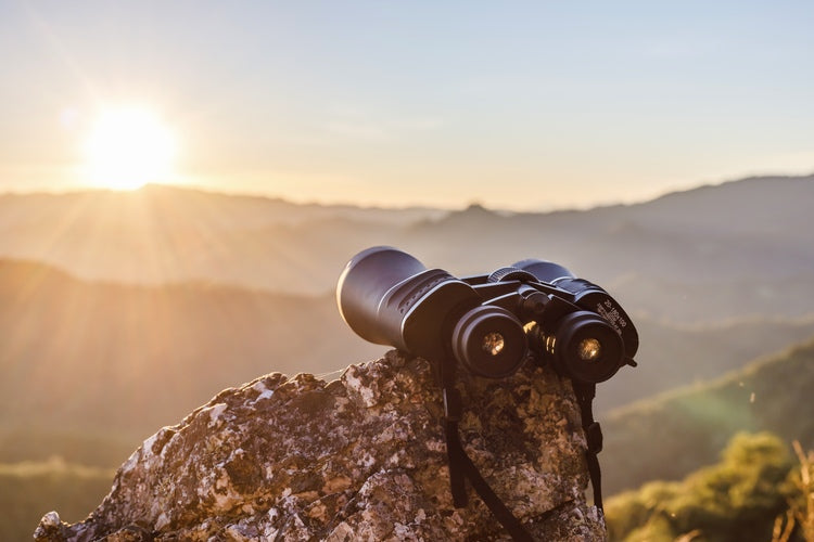 Binoculars and Spotting Scopes