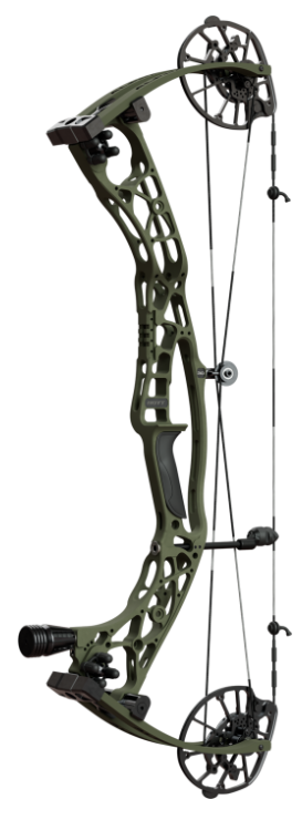 Hoyt